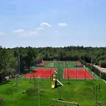 Elli Vikendica